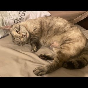 Meet your Posher, Brooke